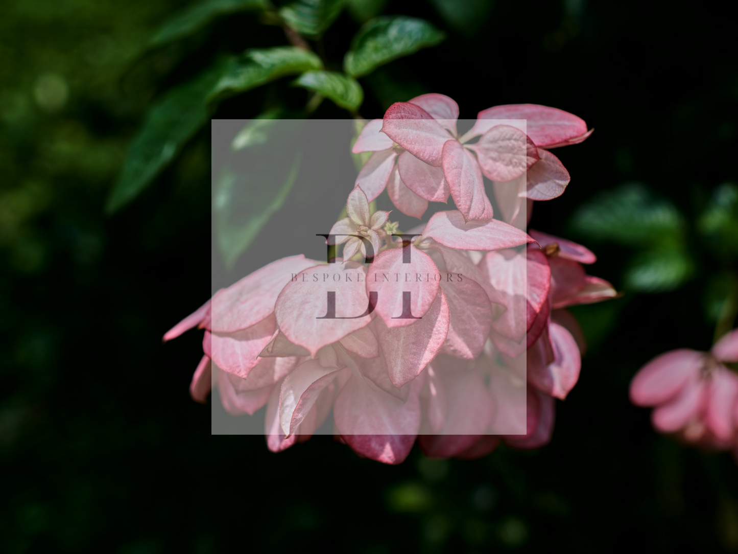 Wallpaper Pink Paradise