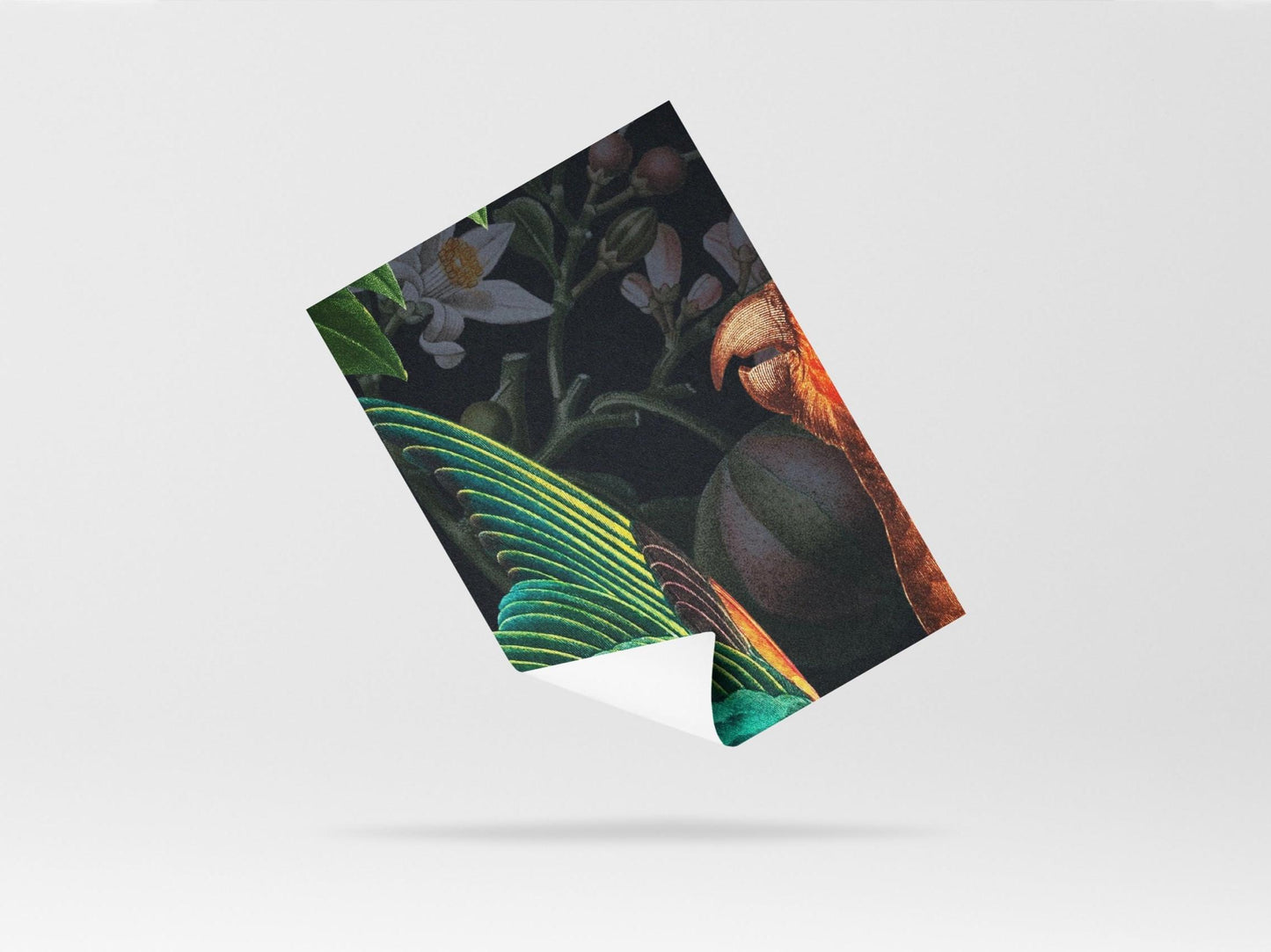 Wallpaper sirene sanctuary