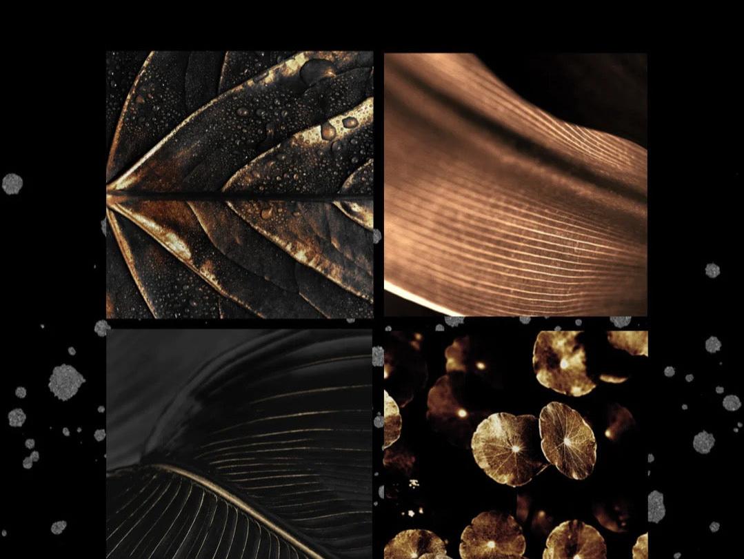 Wall Art set of 4 bronze leaf