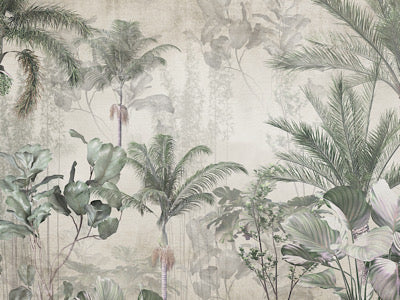 Wallpaper Foggy Forest