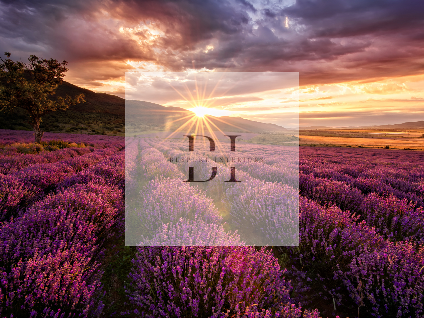 Wallpaper Lavender Landscape