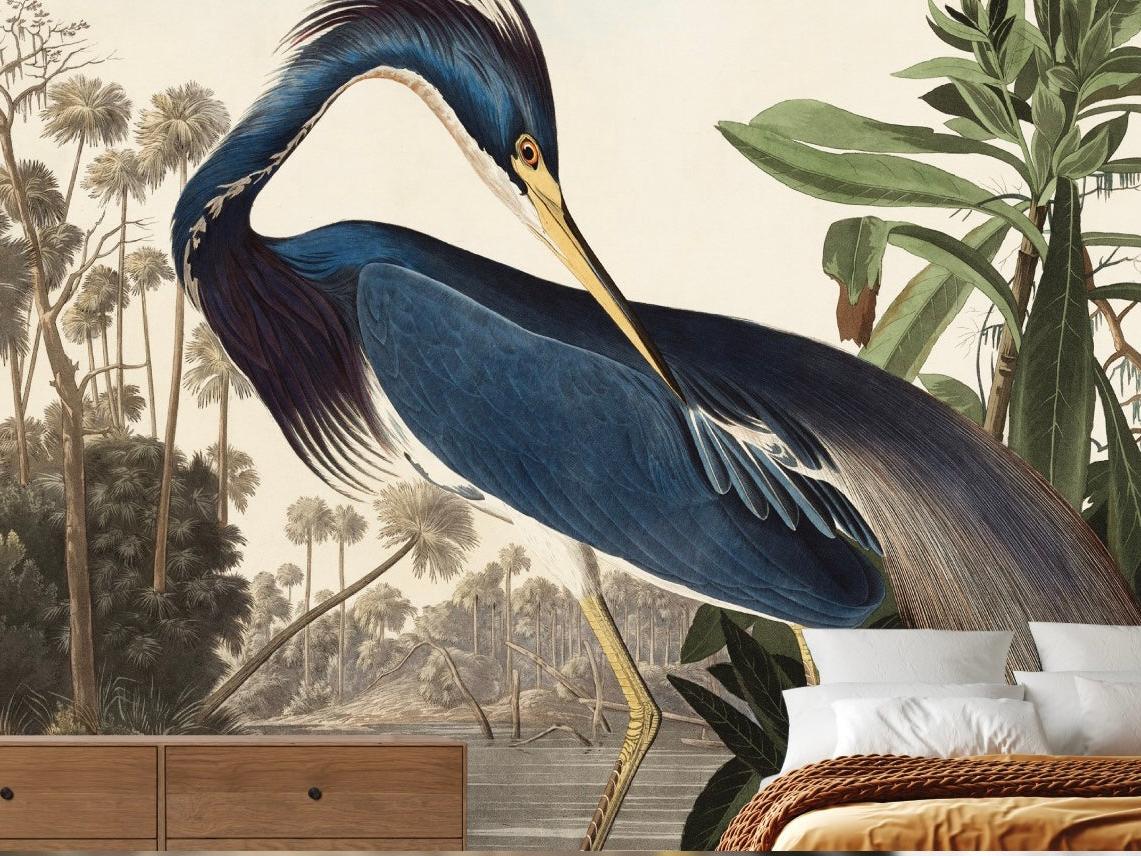 Wallpaper Blue Beauty