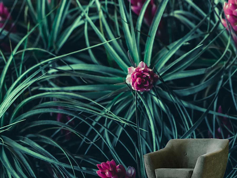 Wallpaper Pink and green floral