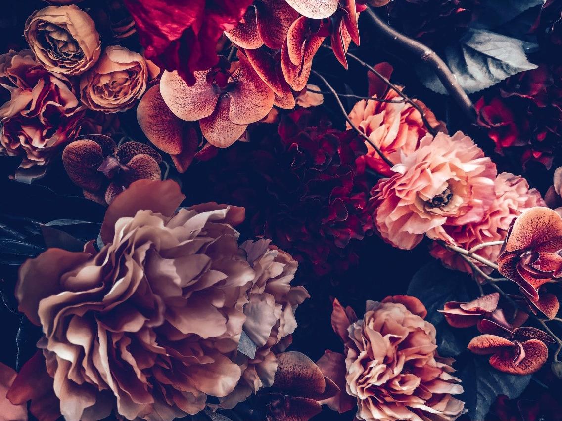 Wallpaper Hues of Pink