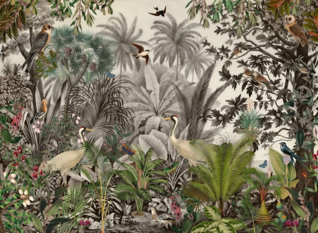 Woodpecker Sanctuary