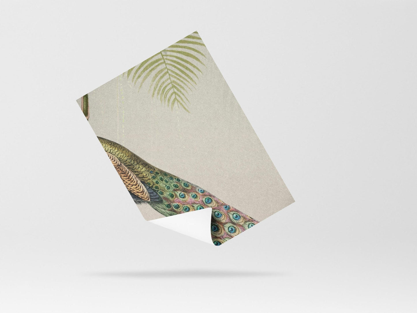 Wallpaper Sophistication