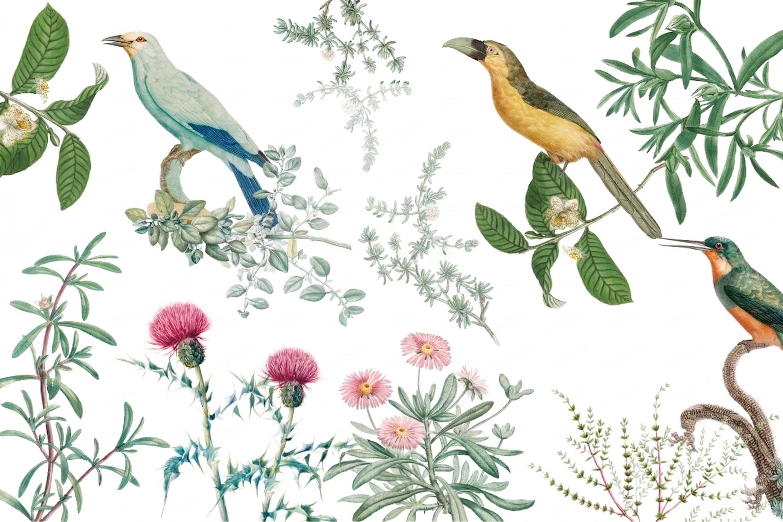 Wallpaper The Garden Of Eden