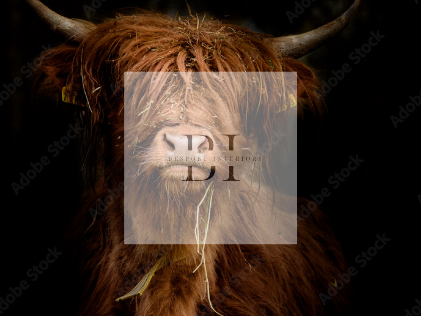 Wallpaper Grazing Bull