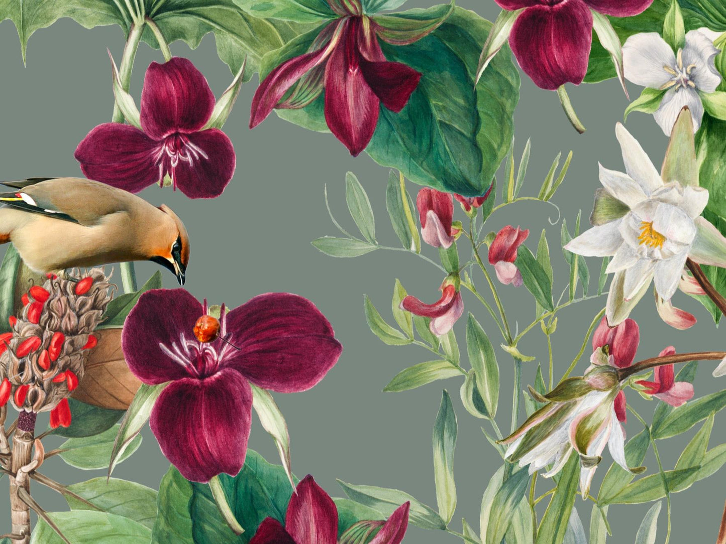 Wallpaper Purple Foliage