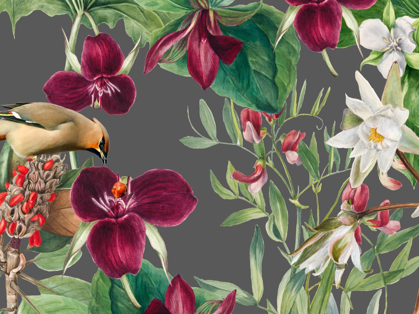 Wallpaper Purple Foliage