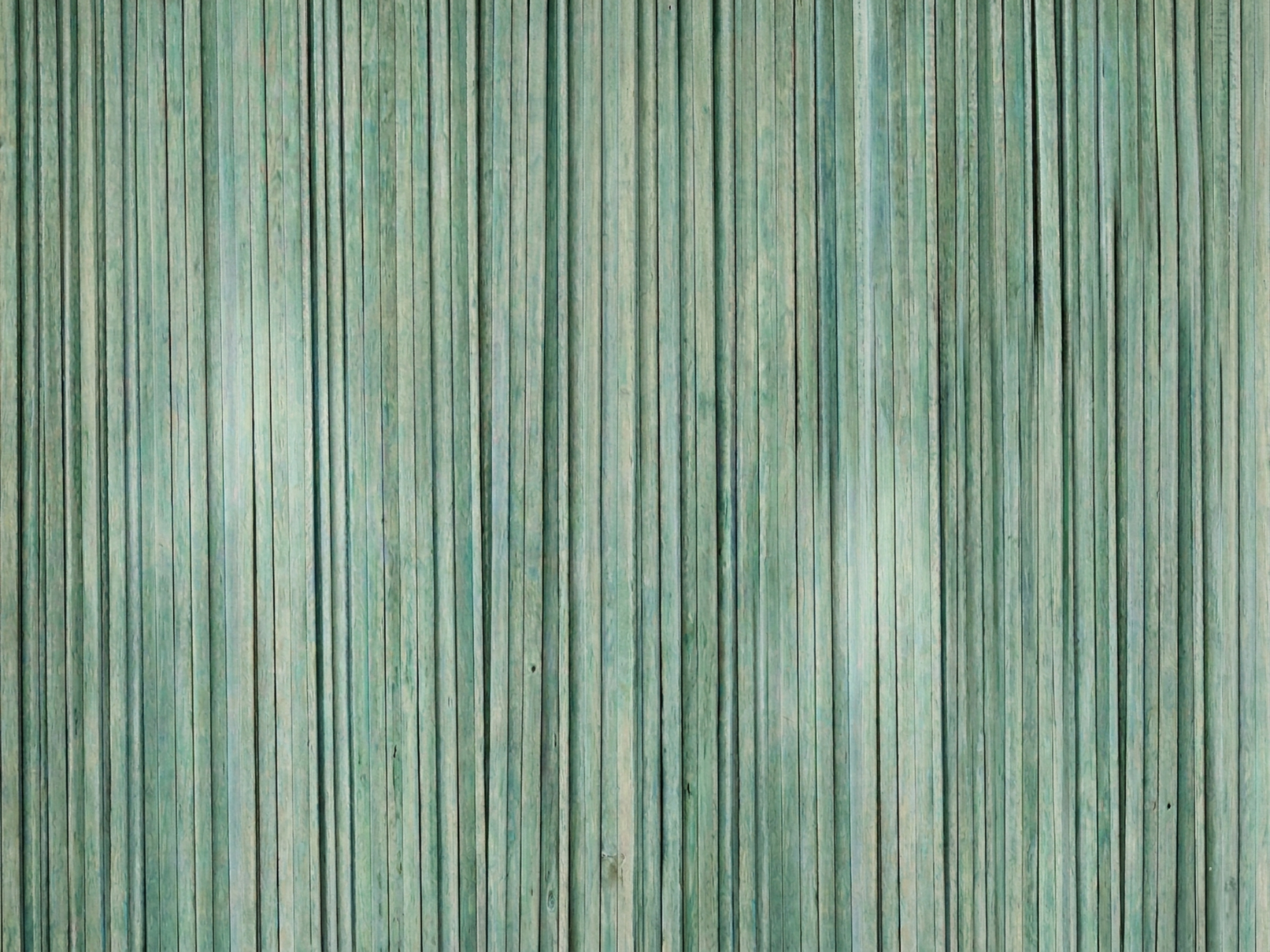 Wallpaper Tagliatelle Green
