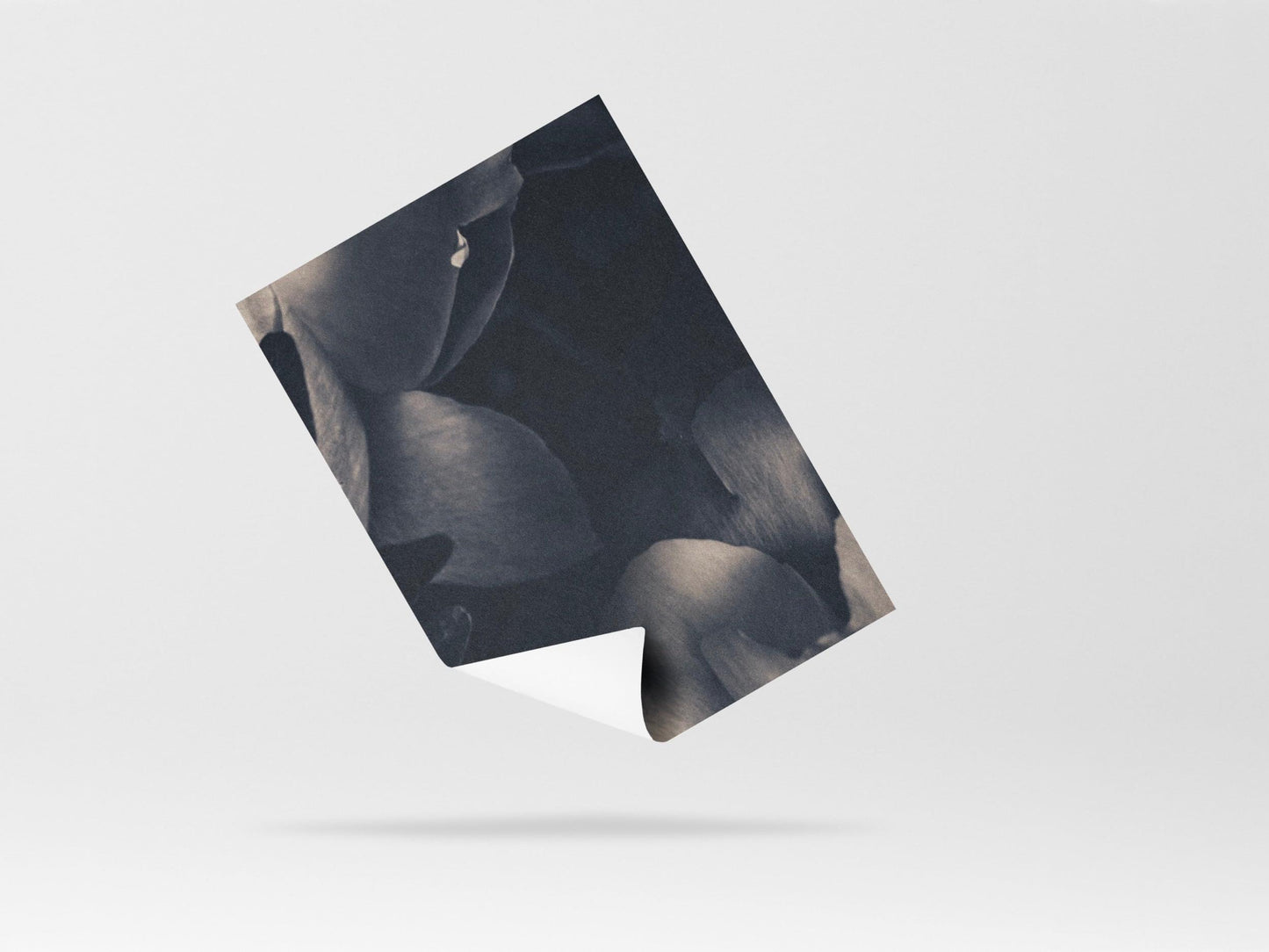 Wallpaper Floral Grayscale