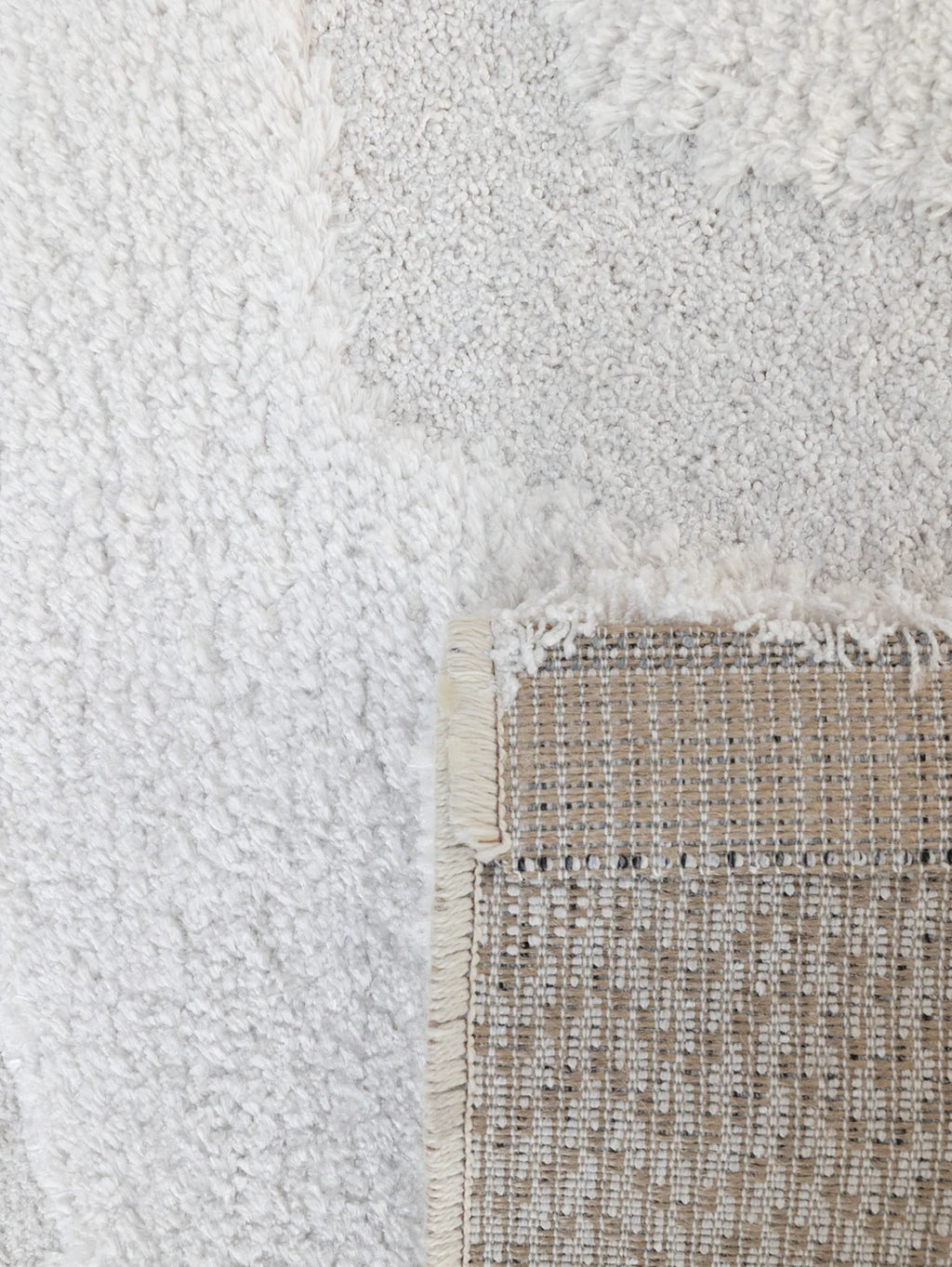 Enliven Rug in Frost