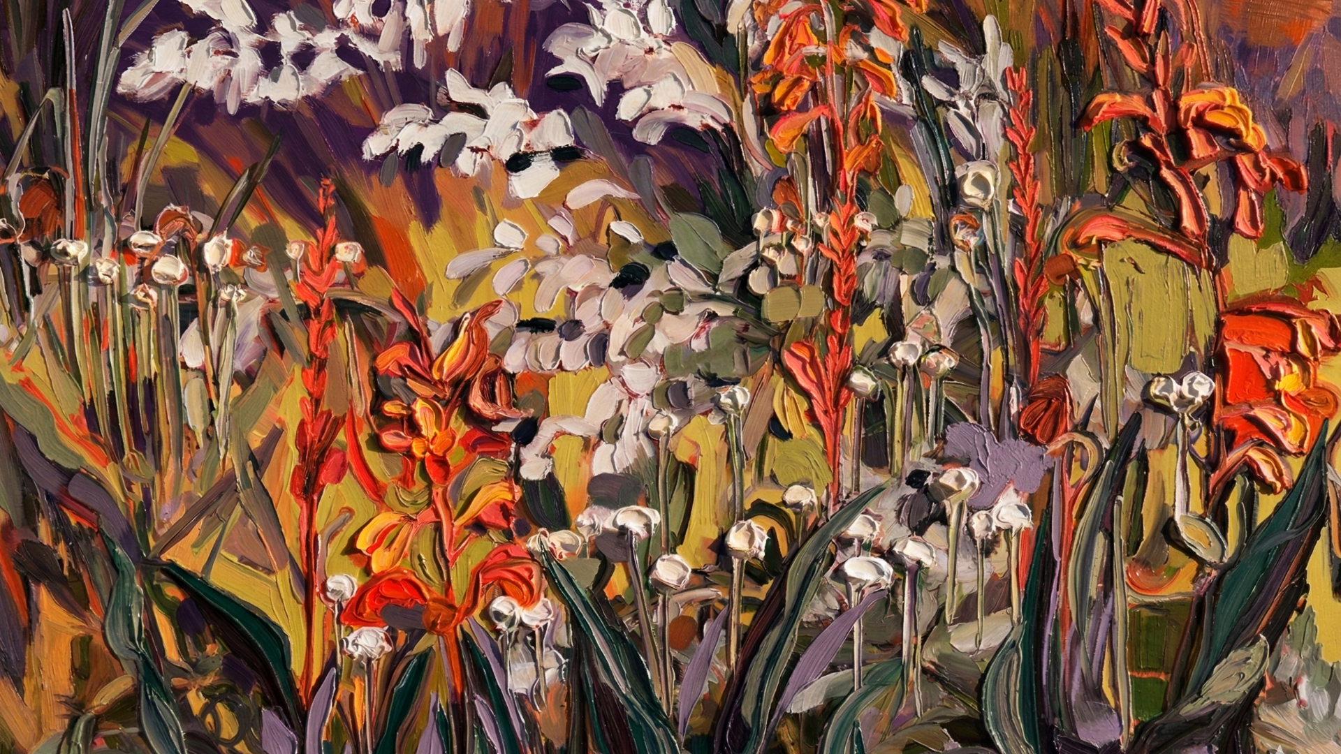 Wallpaper Cape Fire Lily