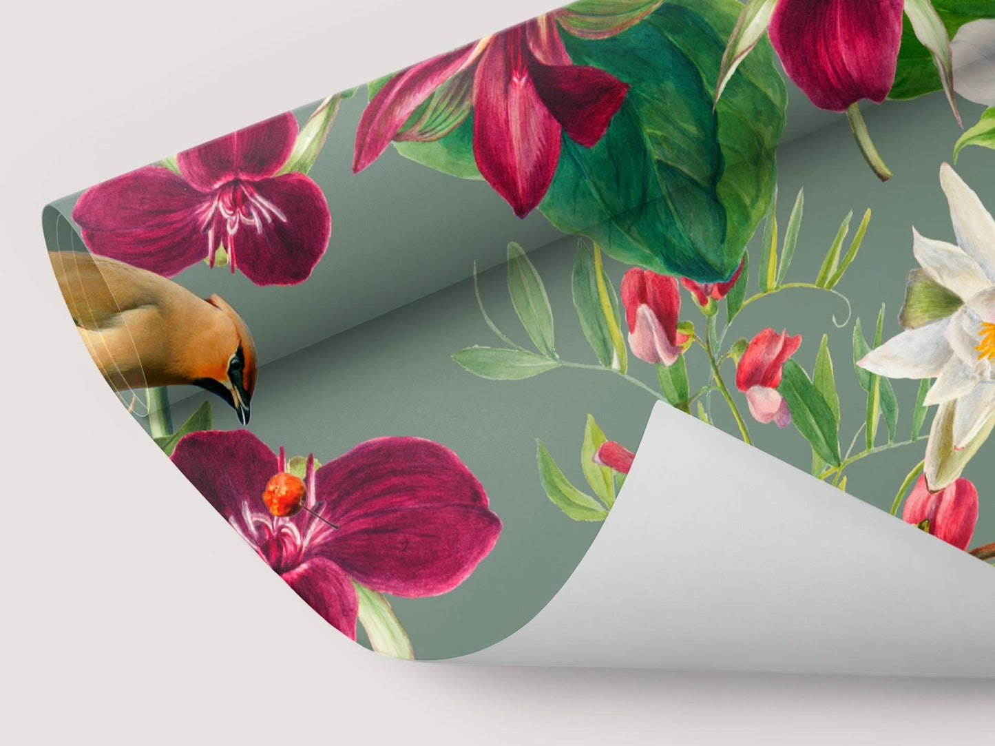 Wallpaper Purple Foliage