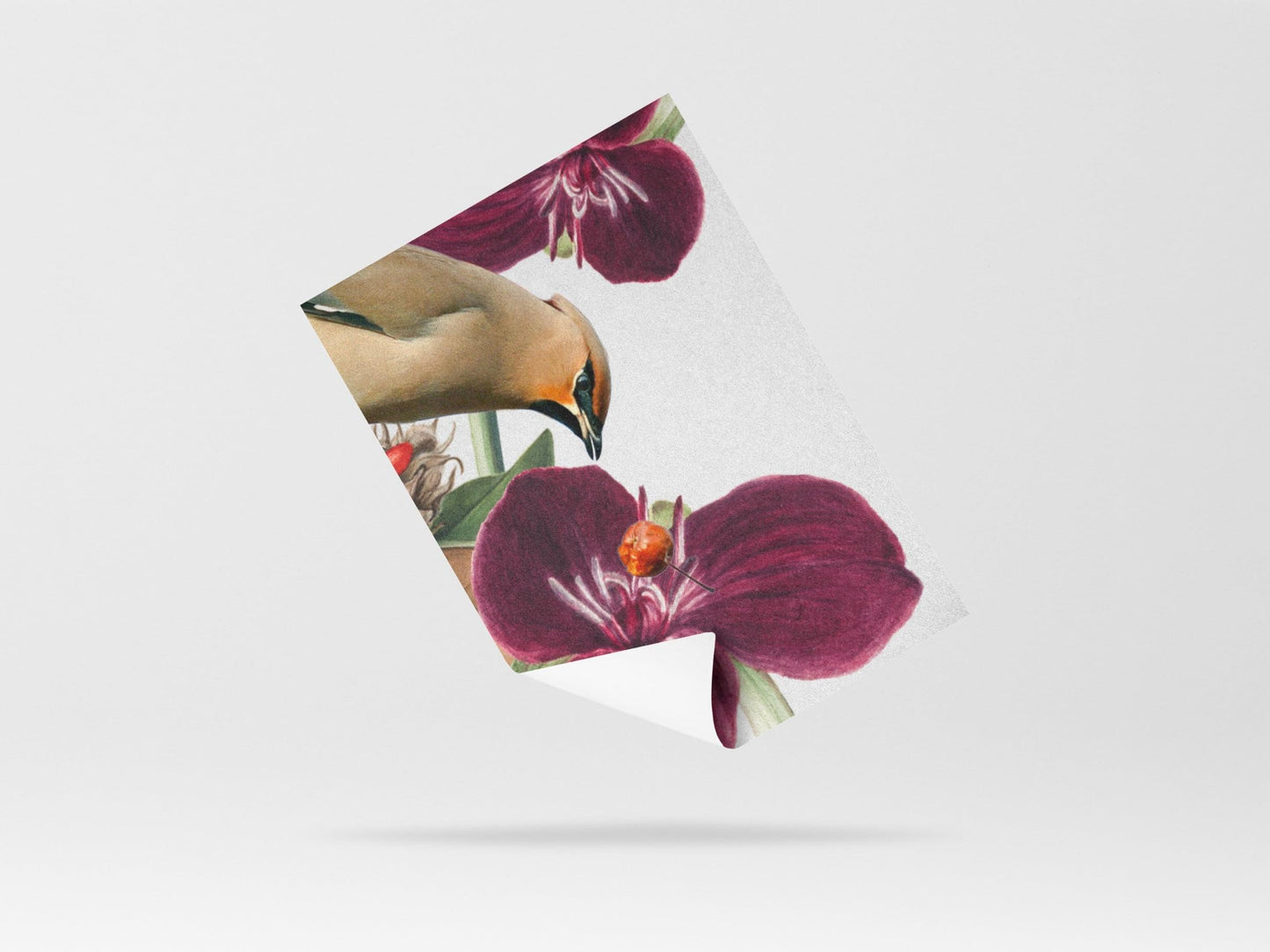 Wallpaper Purple Foliage