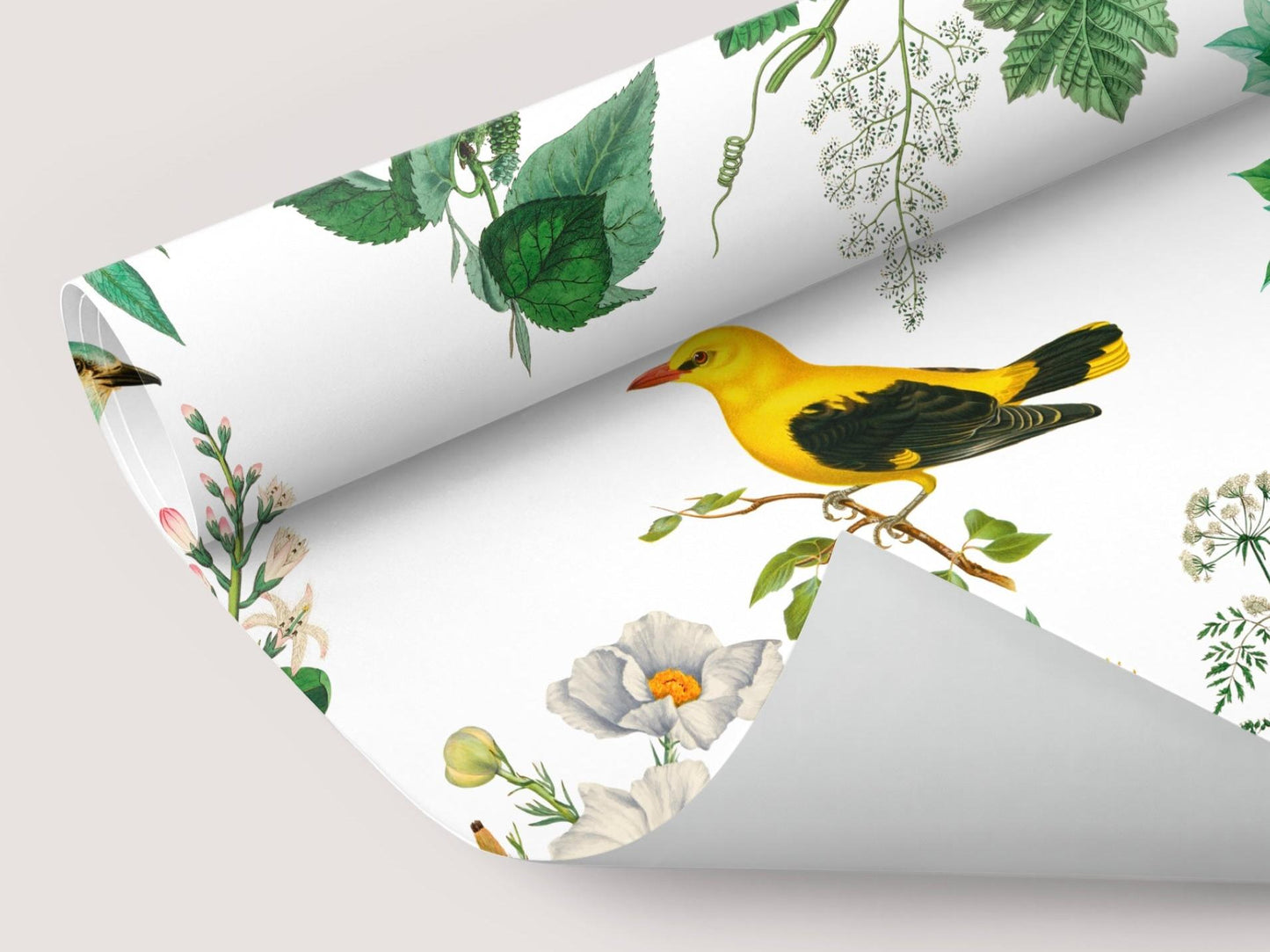 Wallpaper A Birds Paradise