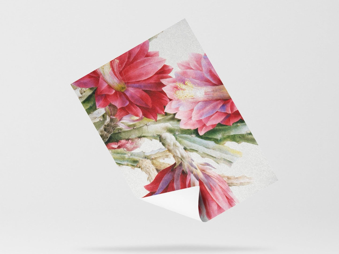 Wallpaper Prickly Ambiance