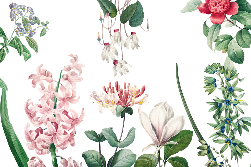 Wallpaper Pink Floral Paradise