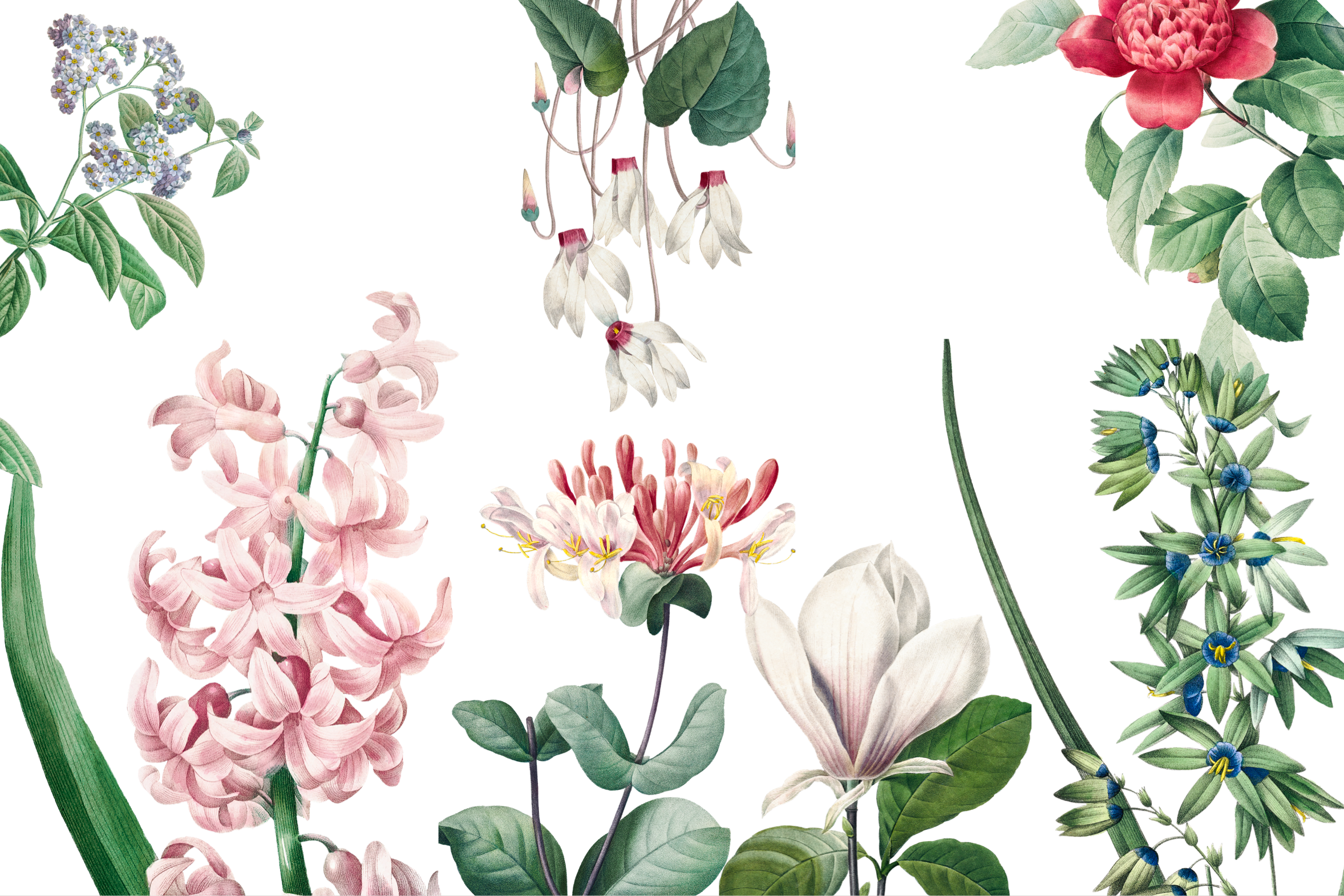 Wallpaper Pink Floral Paradise