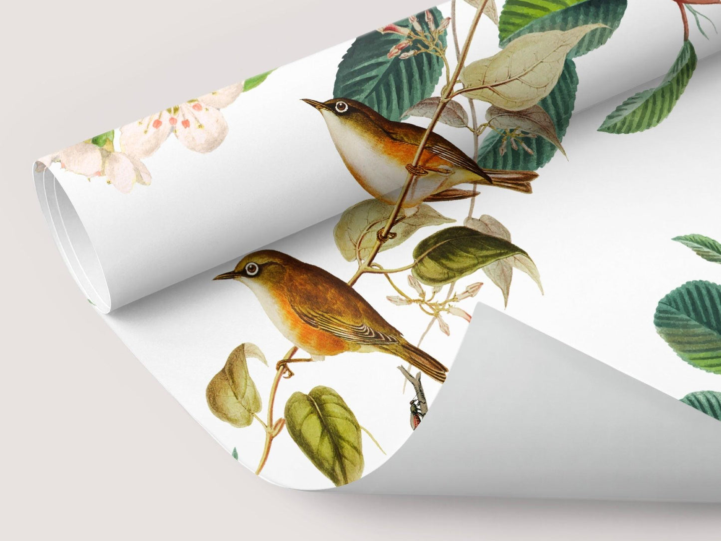 Wallpaper Birds lookout