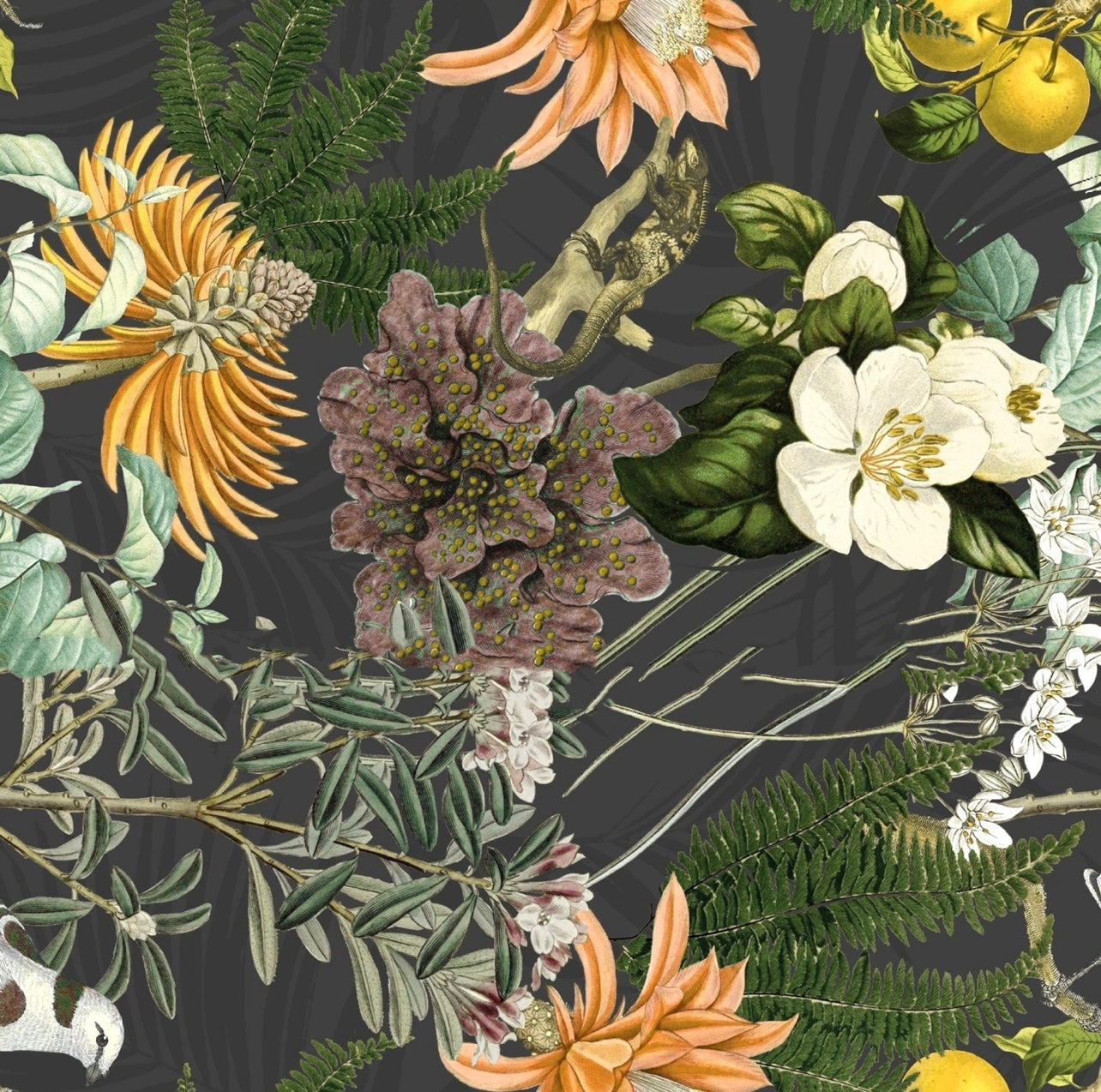 Wallpaper L’Orangerie in Midnight