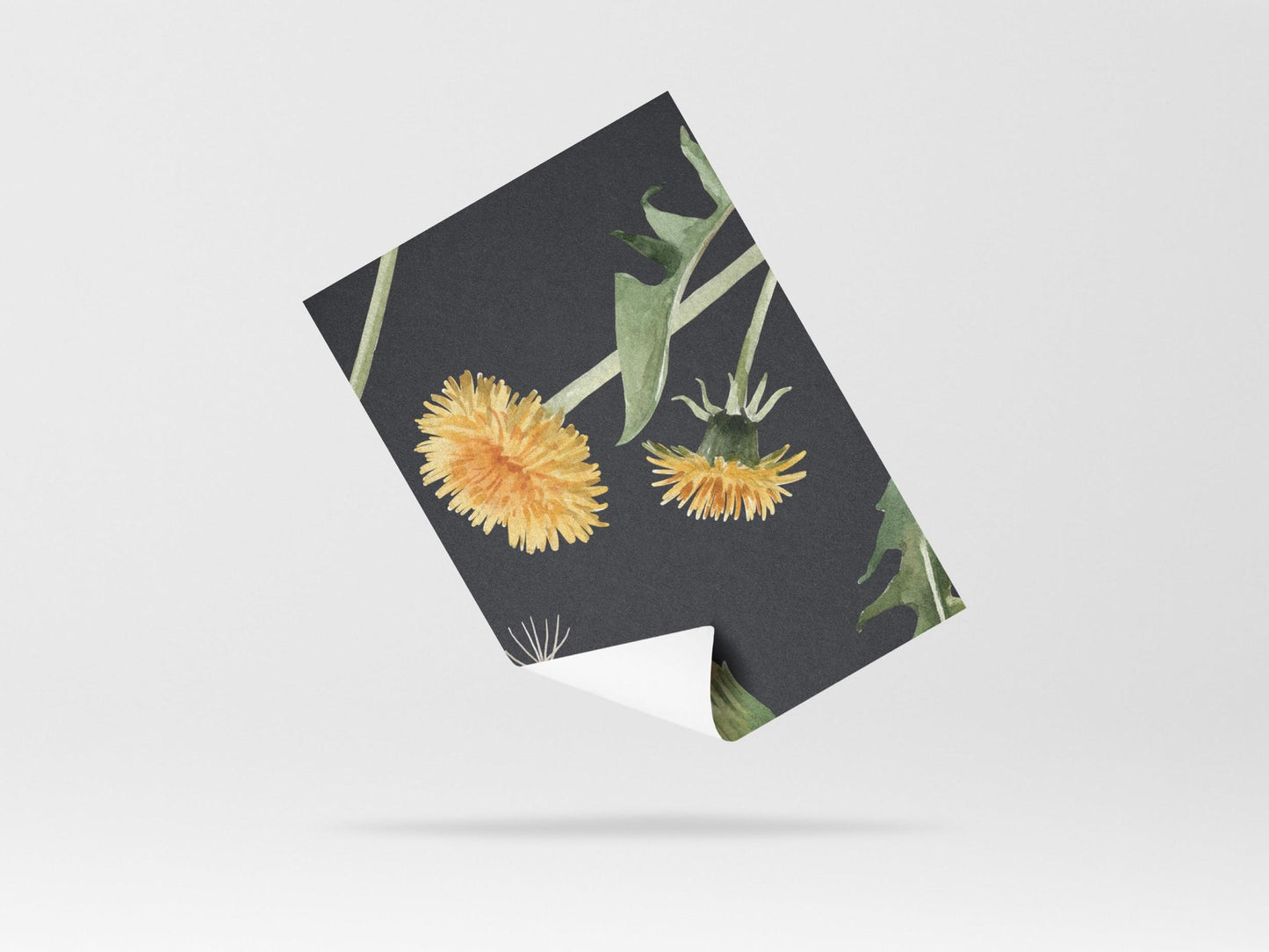 Wallpaper Yellow Gerberas