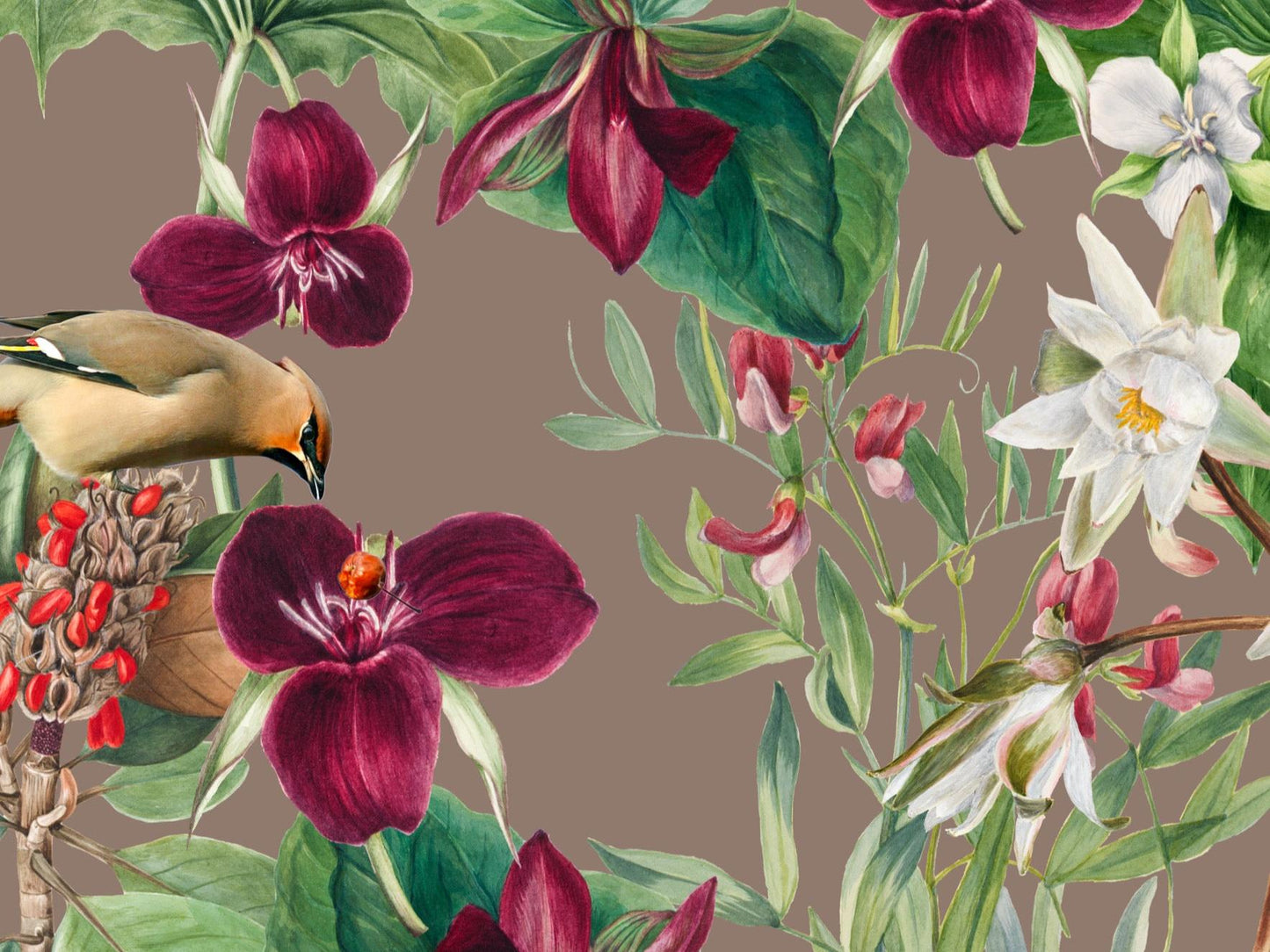 Wallpaper Purple Foliage