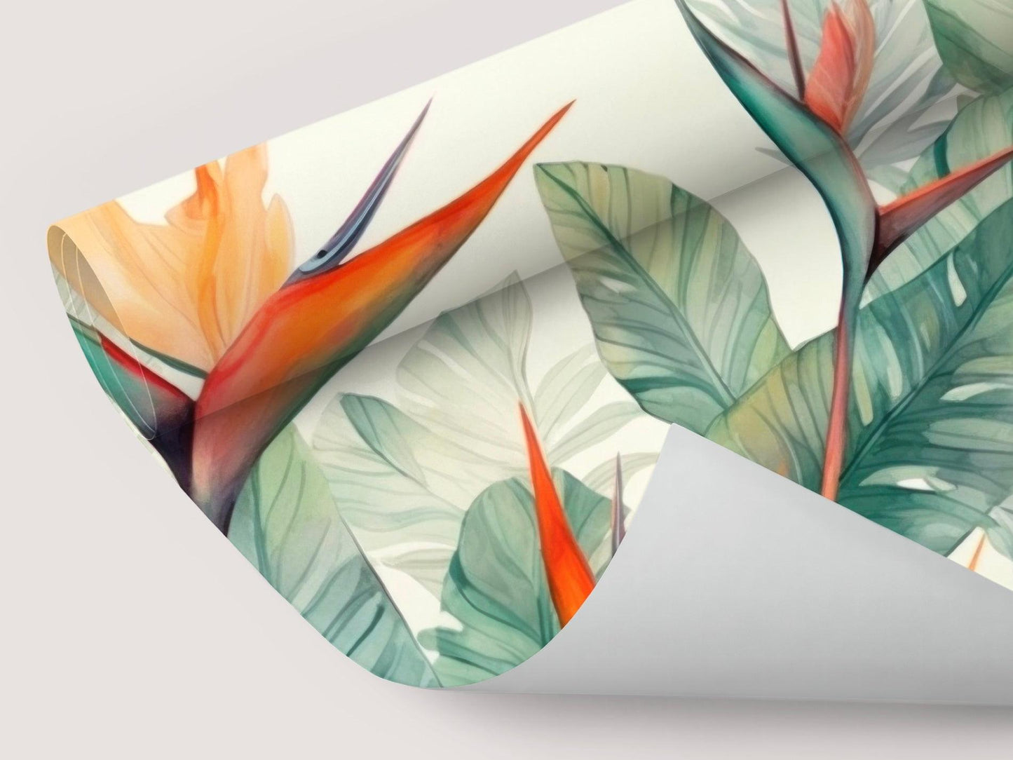 Wallpaper Strelitzia