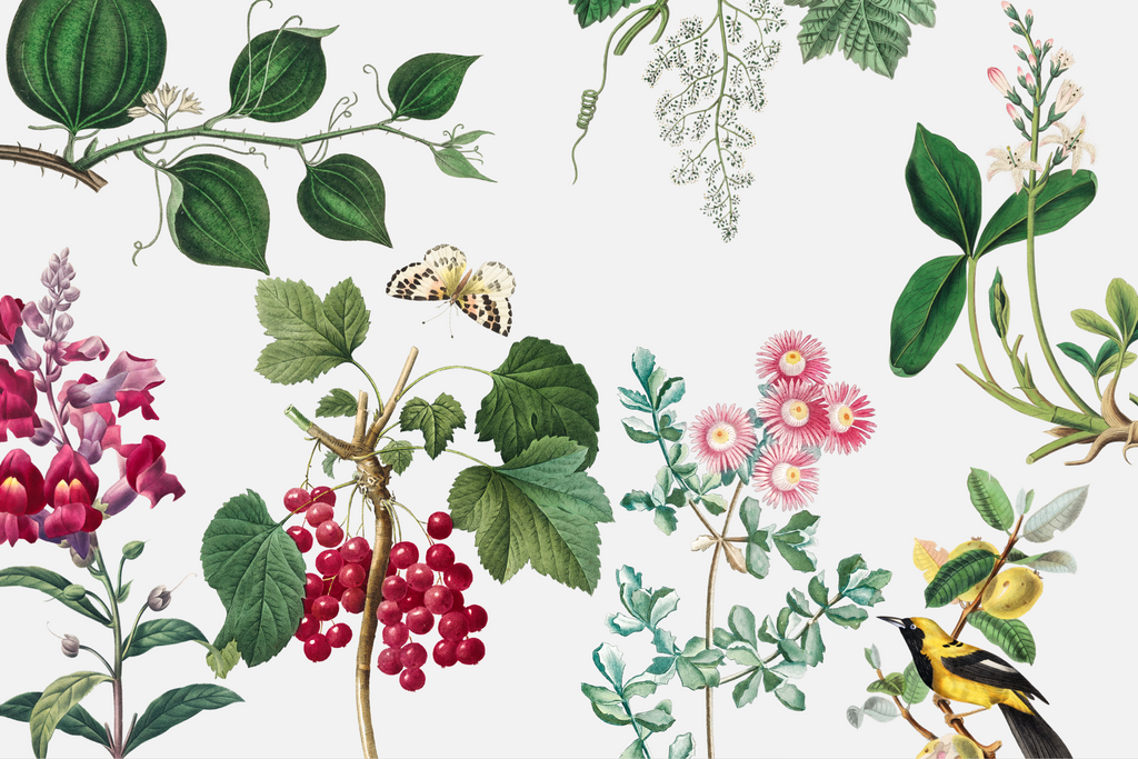 Wallpaper Butterfly Garden