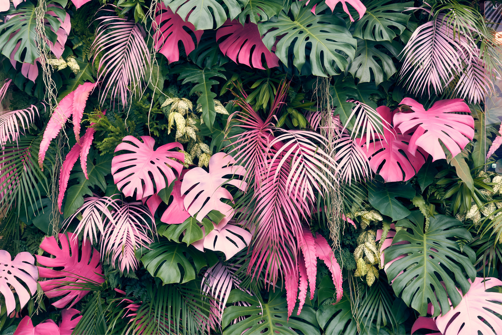 Wallpaper Pink Jungle