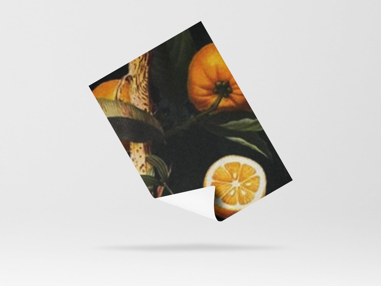 Wallpaper Versailles