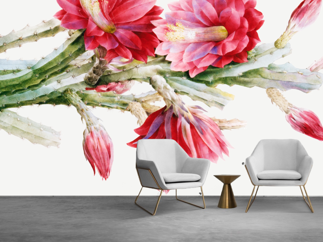 Wallpaper Prickly Ambiance