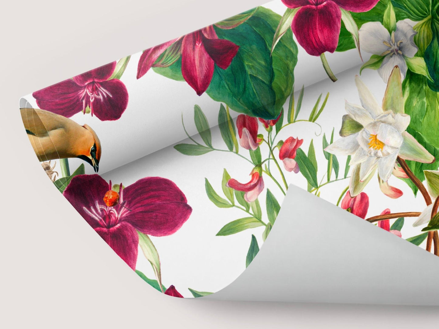 Wallpaper Purple Foliage