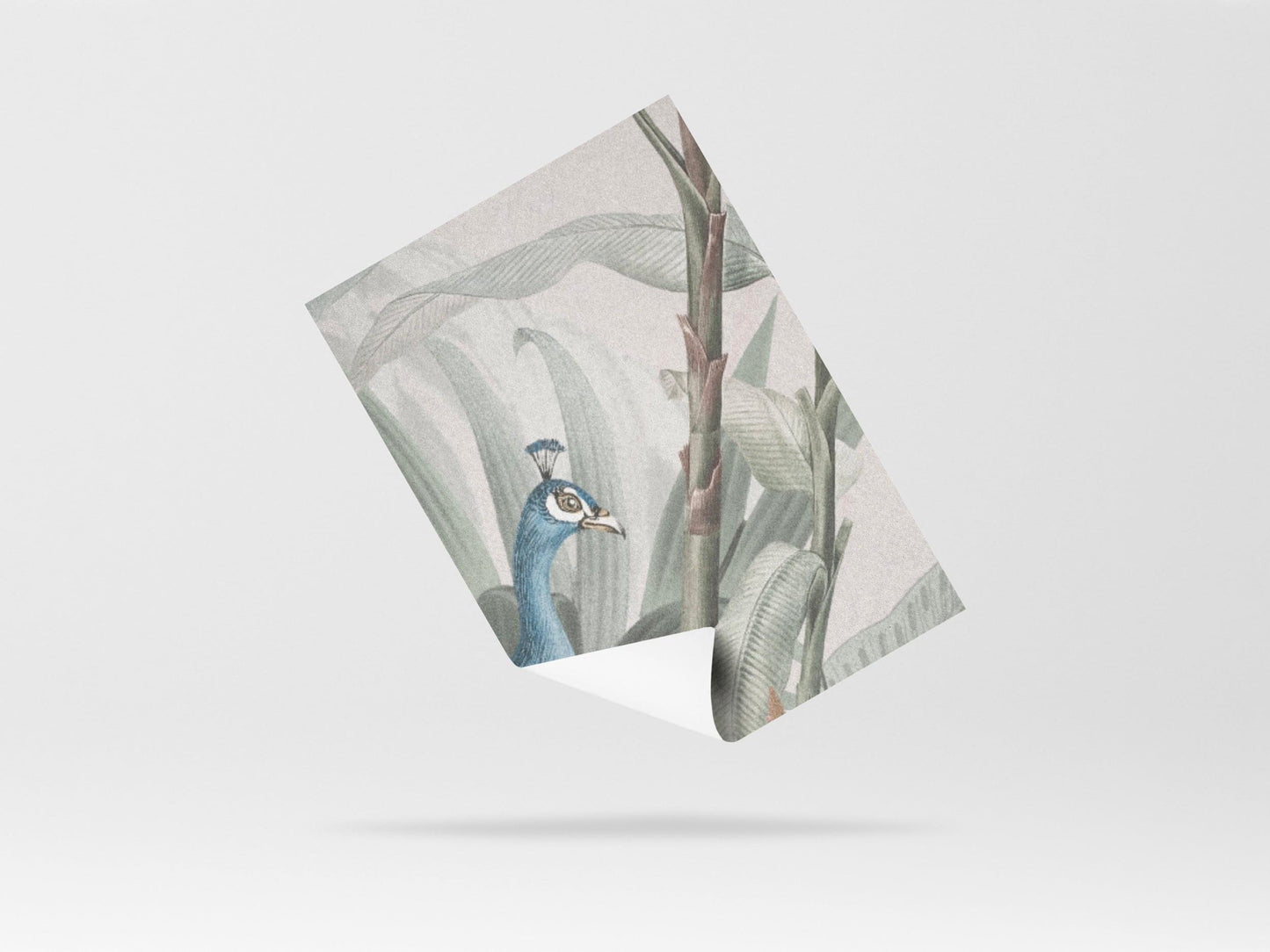 Wallpaper Blissful Beauty Pink