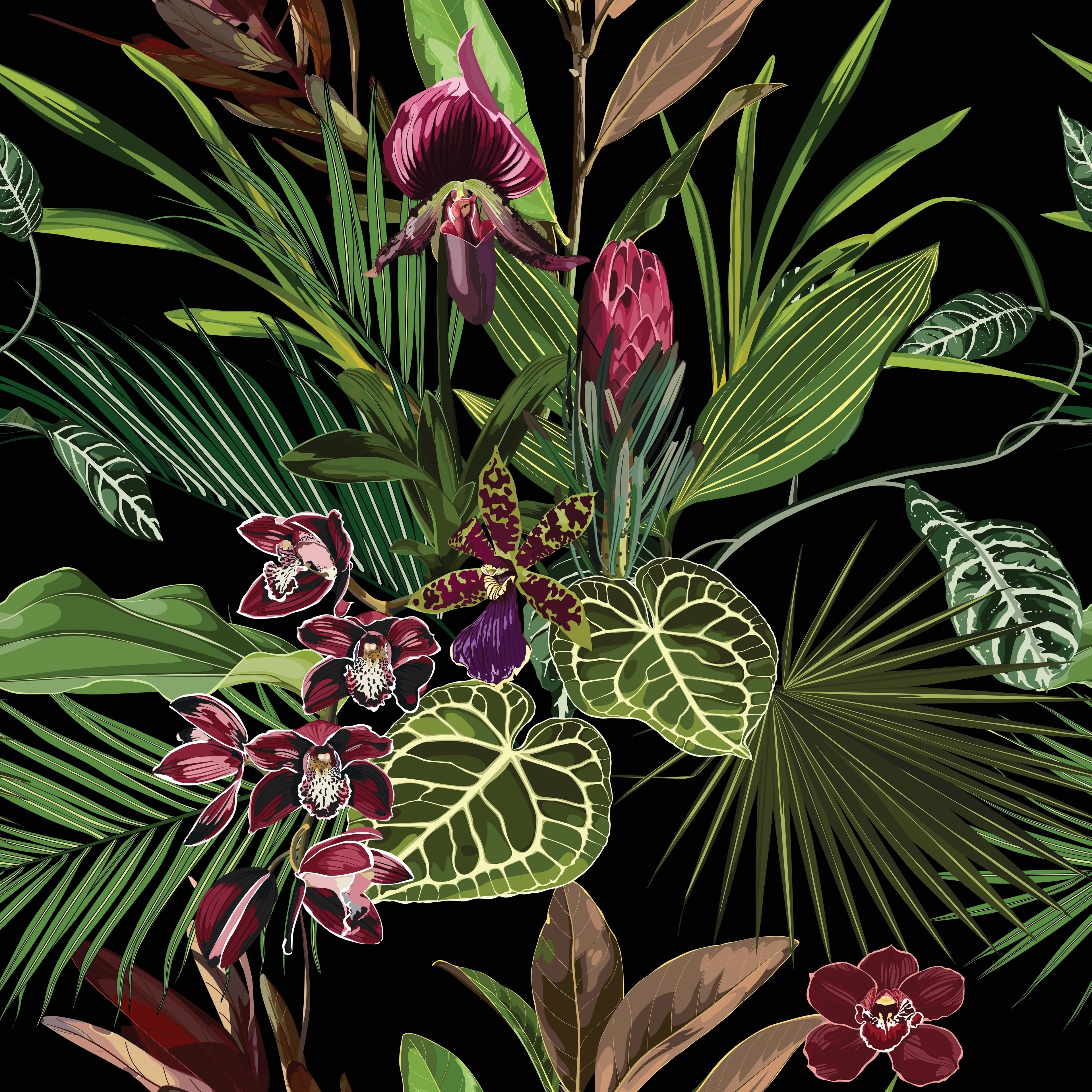 Wallpaper Midnight Orchid