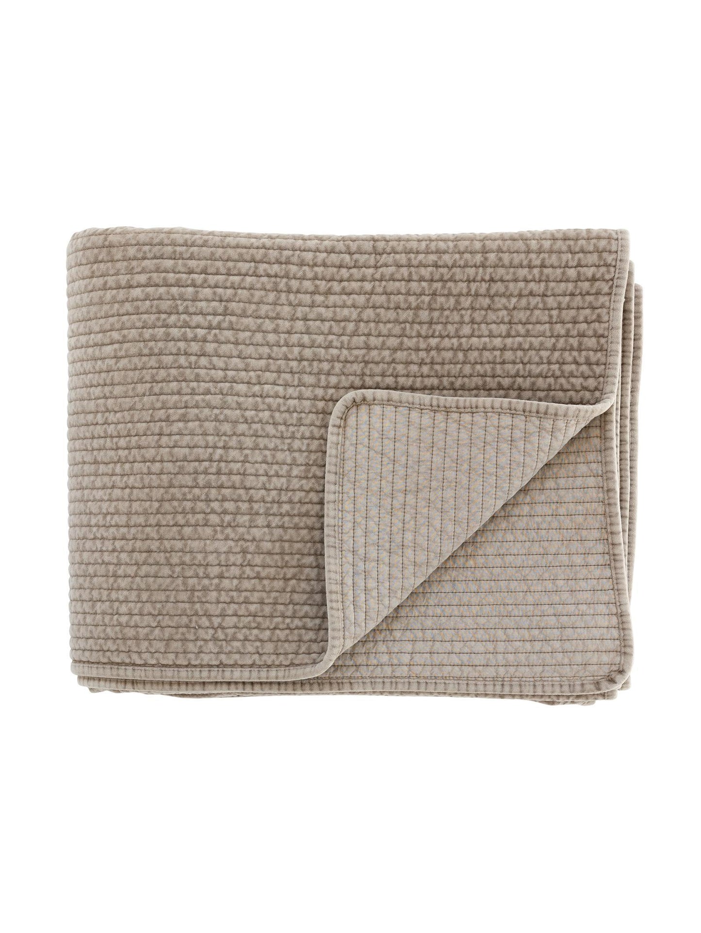 Storyline Quilt
Shortbread