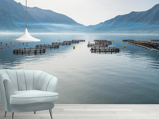 Wallpaper Blue Mountains Landscape