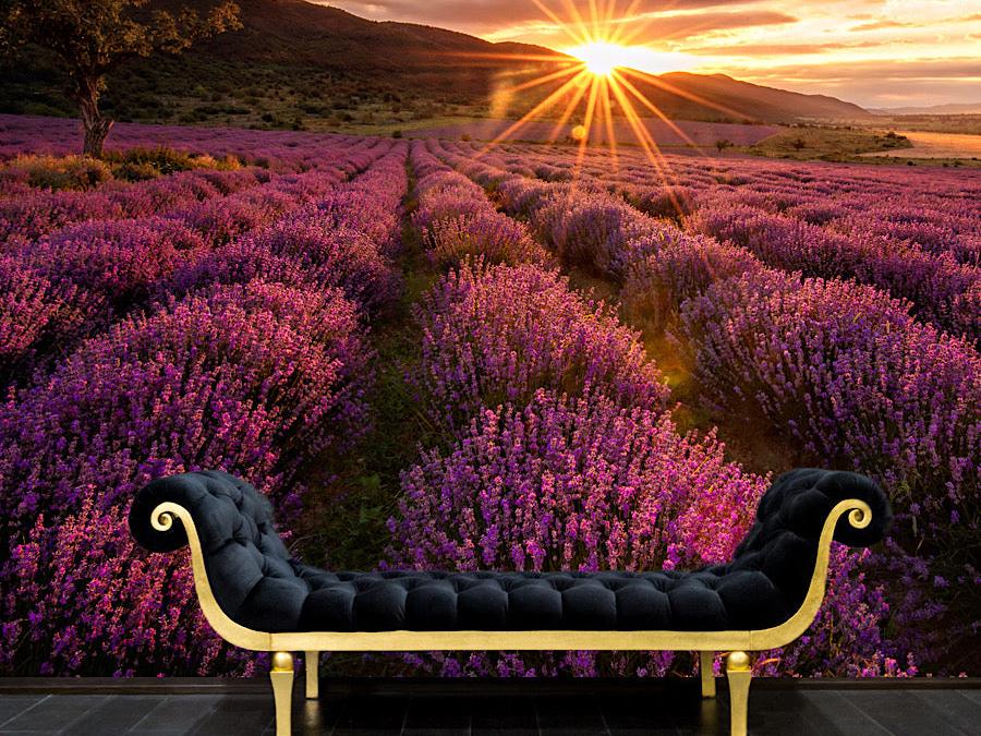 Wallpaper Lavender Landscape