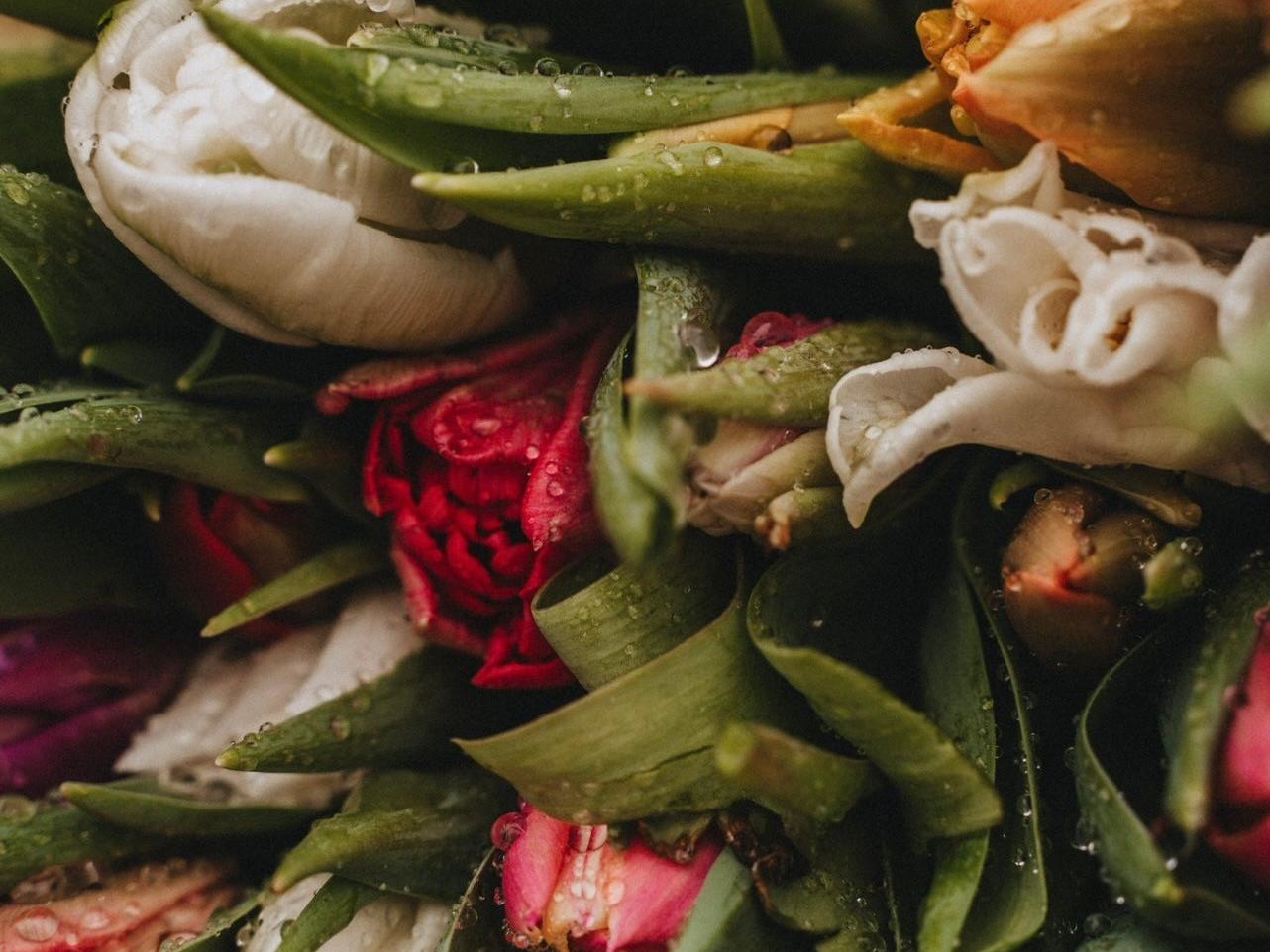 Wallpaper floral seduction