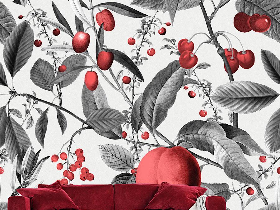 Wallpaper Cherry Blossom