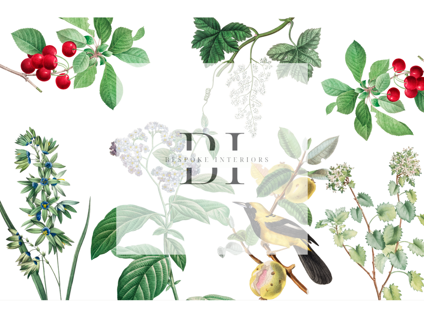 Wallpaper Bird Haven