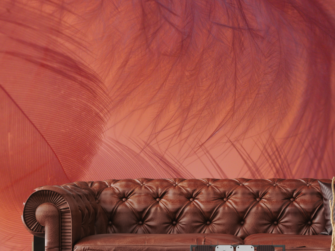 Wallpaper Feather