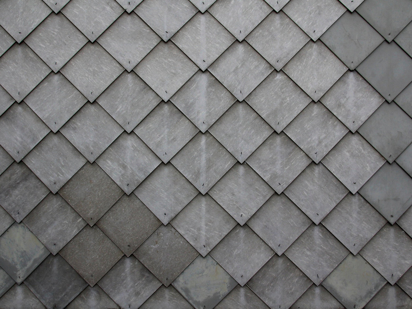 Wallpaper wood scales