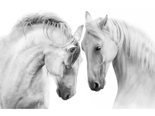 Art Print White Horse