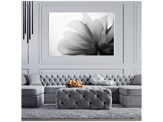 Wall Art Petal