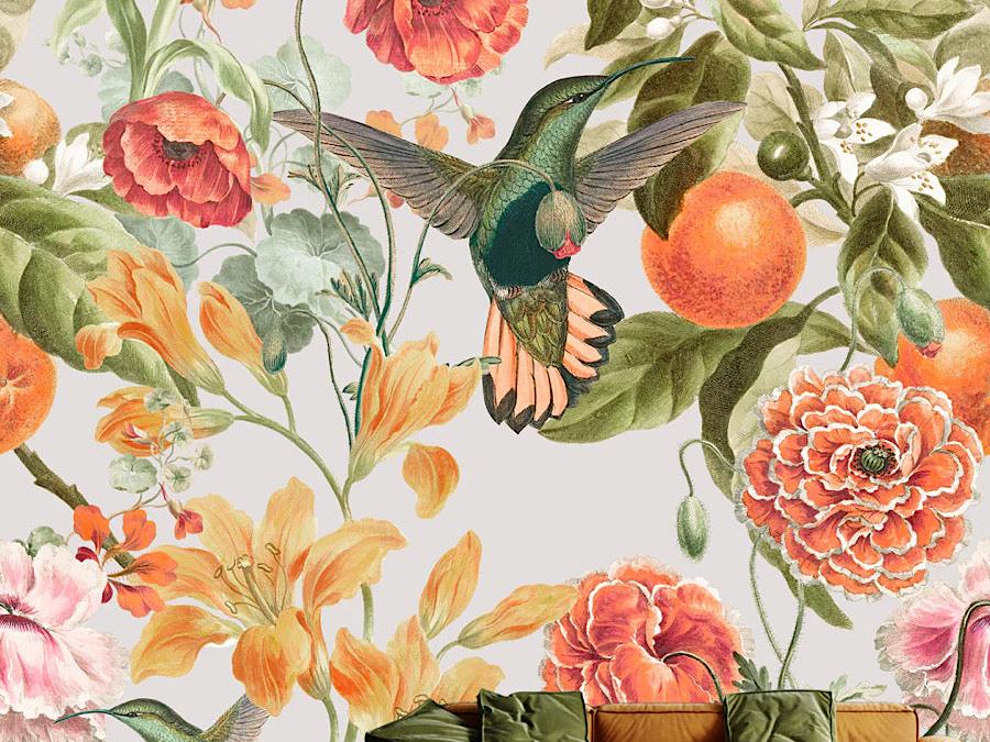 Wallpaper The Humming Bird