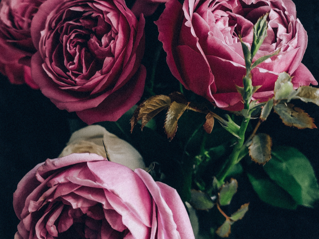 Wallpaper Floral Bliss