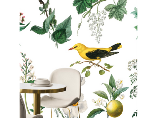 Wallpaper A Birds Paradise