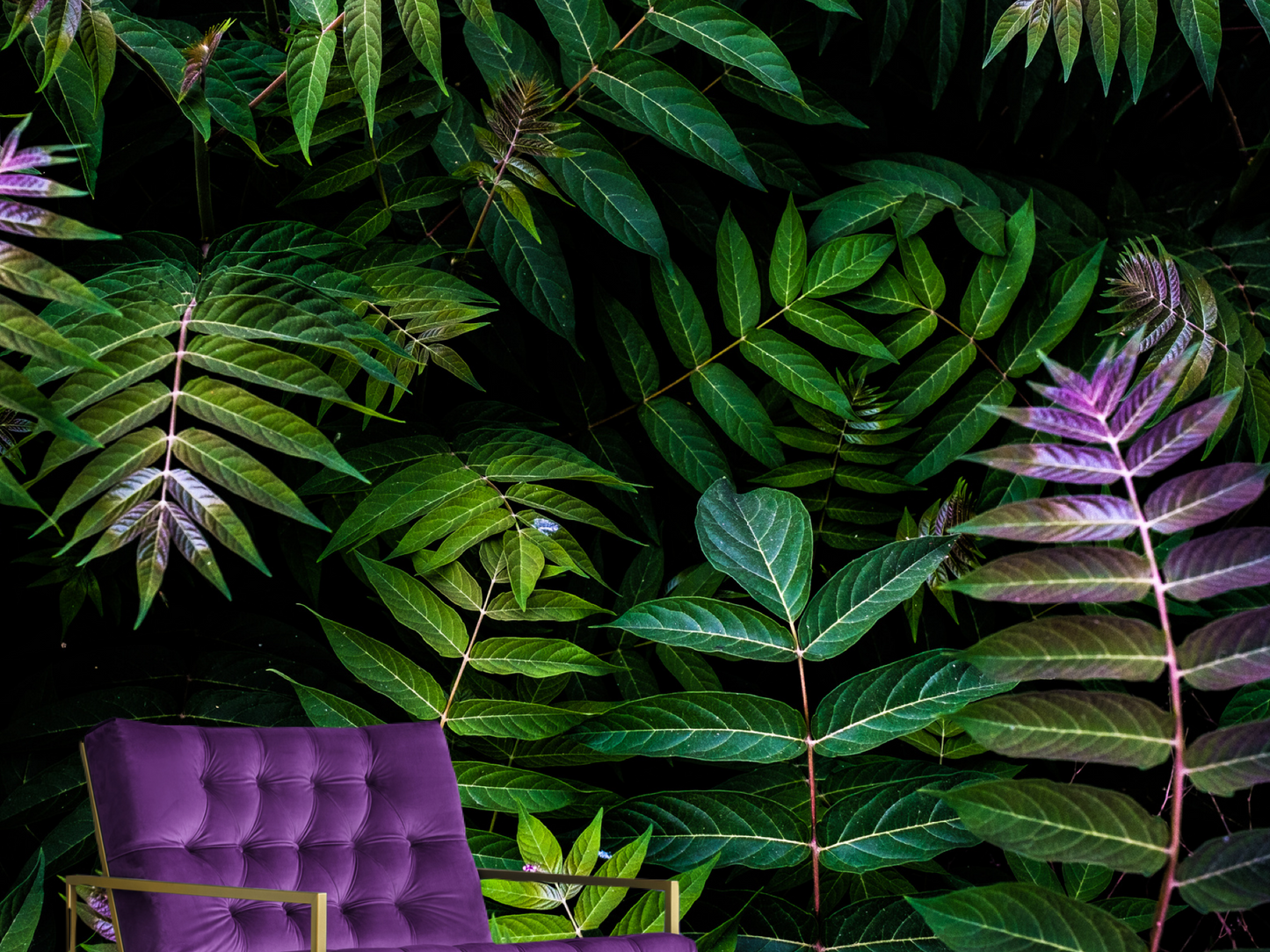 Wallpaper purple paradise